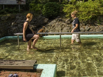 tretbecken-kurpark-bad-harzburg