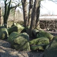 Darpvenner Steine in Ostercappeln-Schwagstorf