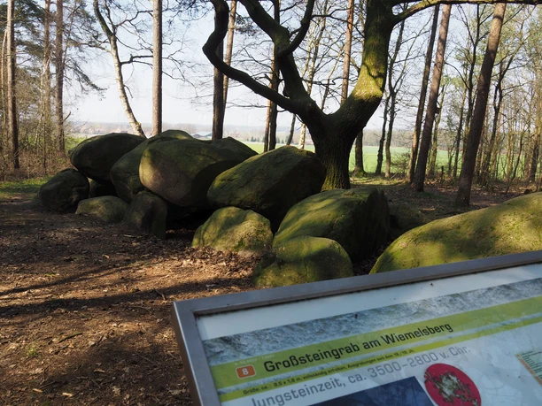 Großsteingrab am Wiemelsberg in Bramsche