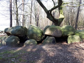 Das Megalithgrab liegt in der Nähe von Ueffeln in Bramsche