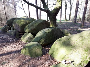 Großsteingrab Wiemelsberg