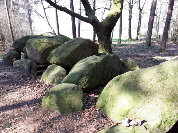 Großsteingrab Wiemelsberg