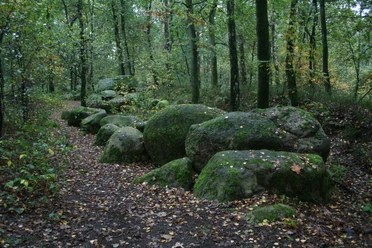 Großsteingrab im Alt-Frerener Forst Reihe großer, moosbedeckter Findlinge im Wald des Alt-Frerener Forsts, umgeben von Laub und Bäumen.