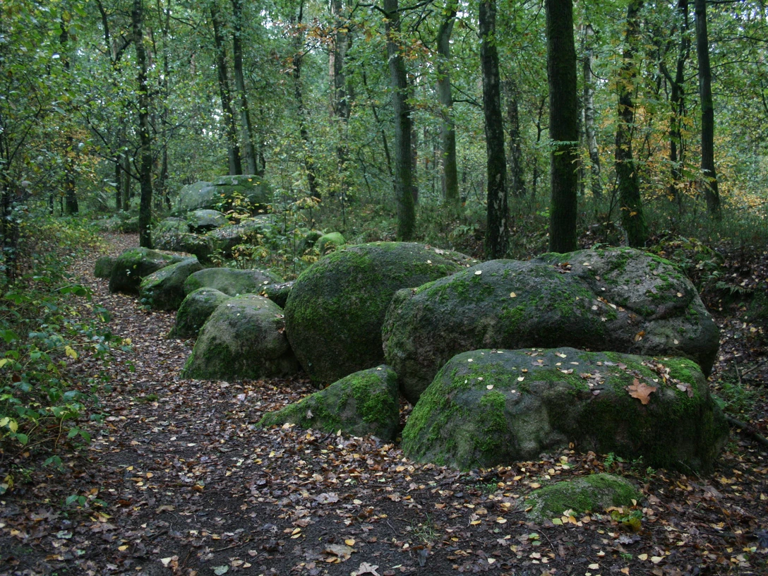 Großsteingrab im Alt-Frerener Forst