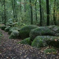 Großsteingrab im Alt-Frerener Forst