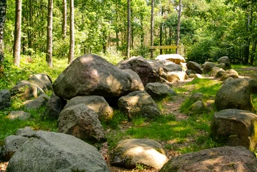 Großsteingrab in der Kunkenvenne Große, moosbewachsene Findlinge eines steinzeitlichen Großsteingrabs im Wald bei Thuine im Sonnenlicht.