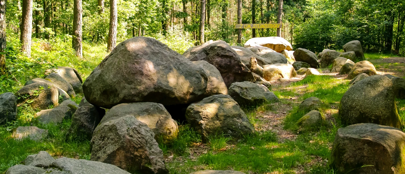 Großsteingrab in der Kunkenvenne Große, moosbewachsene Findlinge eines steinzeitlichen Großsteingrabs im Wald bei Thuine im Sonnenlicht.