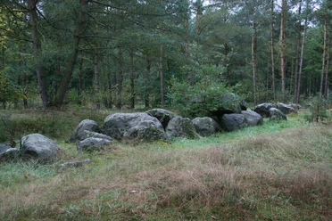 Großsteingrab auf dem Radberg Große, moosbewachsene Steine eines prähistorischen Grabes zwischen Bäumen im dichten Wald.