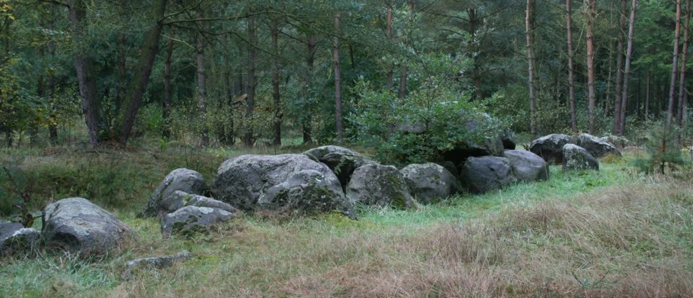 Großsteingrab auf dem Radberg Große, moosbewachsene Steine eines prähistorischen Grabes zwischen Bäumen im dichten Wald.