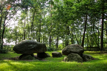 Großsteingrab aus massiven Findlingen im Wald, umgeben von Bäumen und Lichtspiel auf dem Gras.