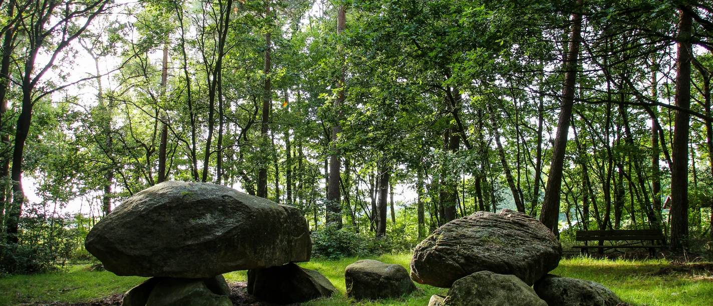 Großsteingrab aus massiven Findlingen im Wald, umgeben von Bäumen und Lichtspiel auf dem Gras.