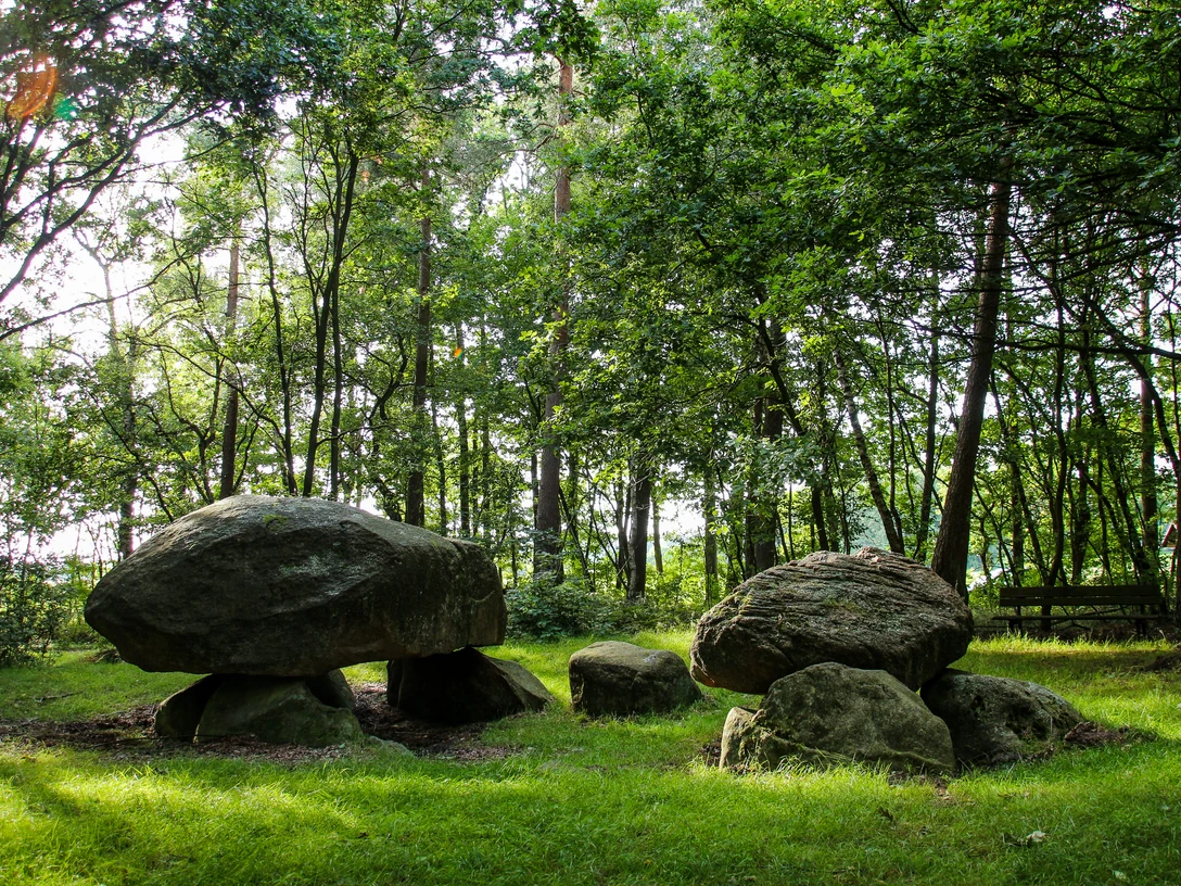 Der Steinerne Schlüssel Großsteingrab aus massiven Findlingen im Wald, umgeben von Bäumen und Lichtspiel auf dem Gras.