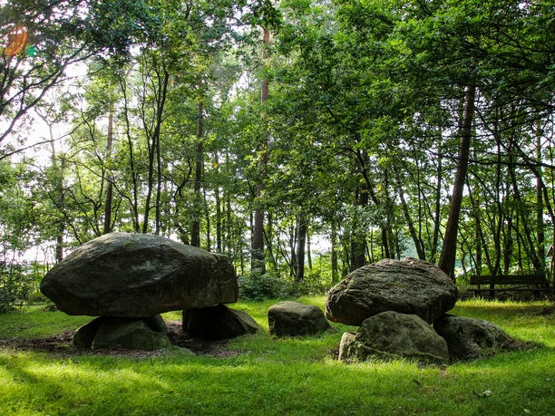 Der Steinerne Schlüssel Großsteingrab aus massiven Findlingen im Wald, umgeben von Bäumen und Lichtspiel auf dem Gras.