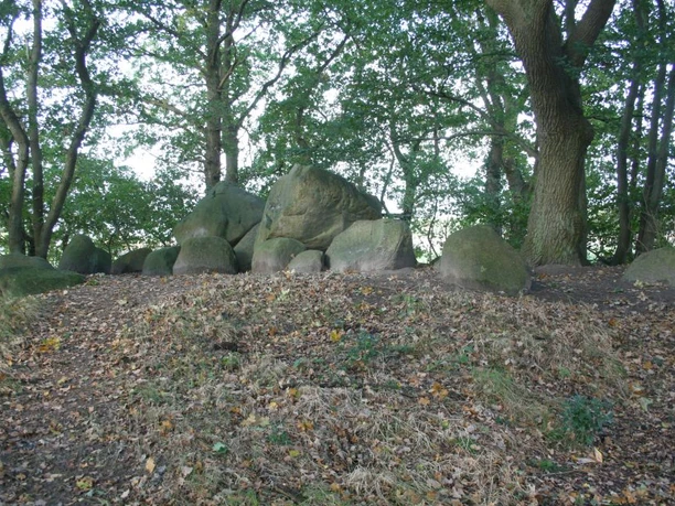 Großsteingrab am Osteresch Große, verwitterte Findlinge eines prähistorischen Großsteingrabs unter hohen Bäumen im Wald.