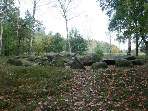 Großsteingräber bei den Düvelskuhlen Große Findlinge eines prähistorischen Steingrabs liegen zwischen Birken und Laubbäumen im Wald.