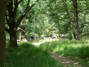 Hünengräberstraße des Hümmling