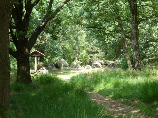 Hünengräberstraße des Hümmling Große Findlinge einer steinzeitlichen Grabanlage im Wald, umgeben von Bäumen und grüner Wiese.