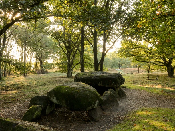 Hünengräberstraße des Hümmling Großsteingrab im Wald des Hümmling mit moosbewachsenen Felsen und Lichtspiel zwischen Bäumen.