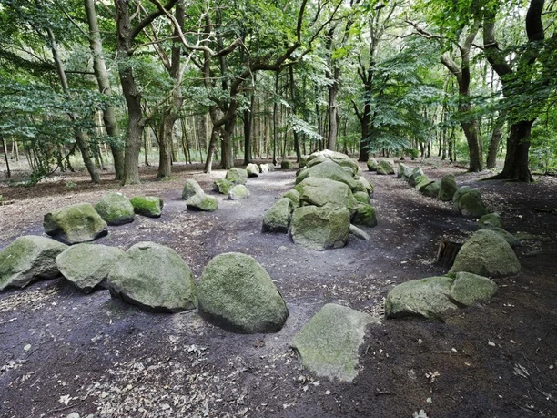 Volbers Hünensteine Großsteingrab aus moosbedeckten Findlingen in einem lichten Wald im Naturpark Hümmling.
