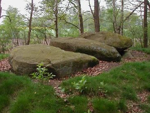 Großsteingrab Hüven-Süd Große moosbedeckte Findlinge eines steinzeitlichen Grabes zwischen Bäumen im Naturpark Hümmling.