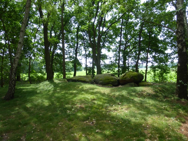 Großsteingrab Hüven-Süd Große, moosbewachsene Findlinge eines steinzeitlichen Grabes im lichten Wald bei Hüven.