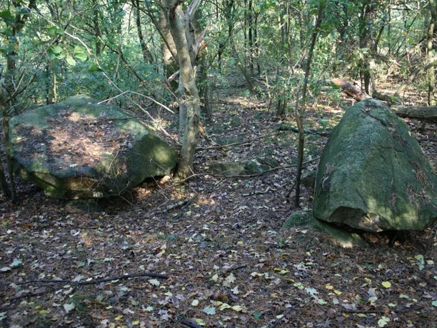 Steenhus in den Klöbertannen Große, mit Moos bedeckte Findlinge zwischen Bäumen im lichten Laubwald der Klöbertannen.