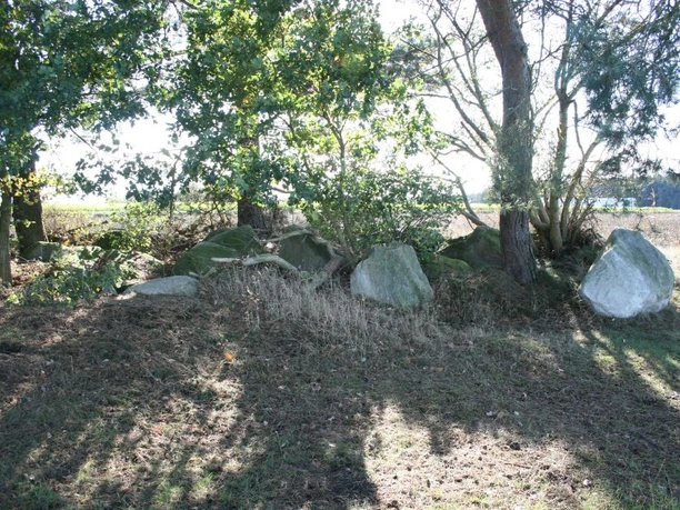 Großsteingrab in den Klöbertannen Große, moosbewachsene Steine eines uralten Großsteingrabs zwischen Bäumen am Waldrand.