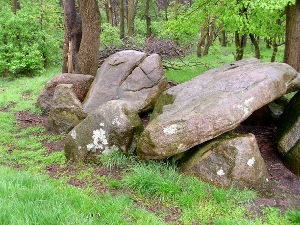 Großsteingräber auf der Buschhöhe Große, moosbewachsene Findlinge eines prähistorischen Steingrabs zwischen grünem Gras und Bäumen.