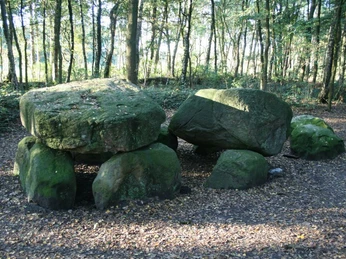 Poldenhünensteine Große, moosbedeckte Findlinge einer steinzeitlichen Grabstätte im Waldlicht zwischen hohen Bäumen.