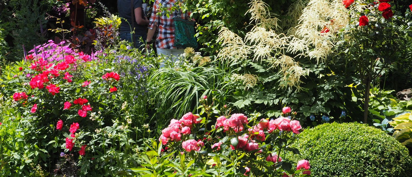 Blütenpracht in Schneiders Garten
