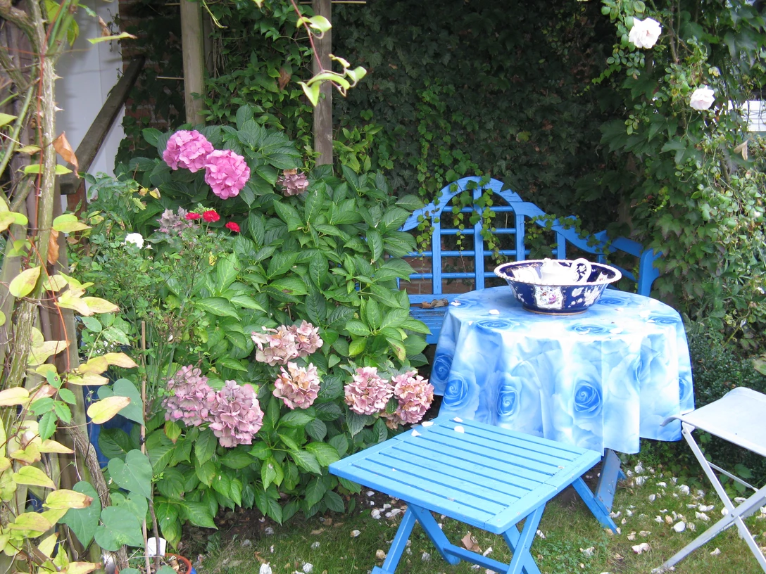 Im Rosengarten am Hasesee in Bramsche