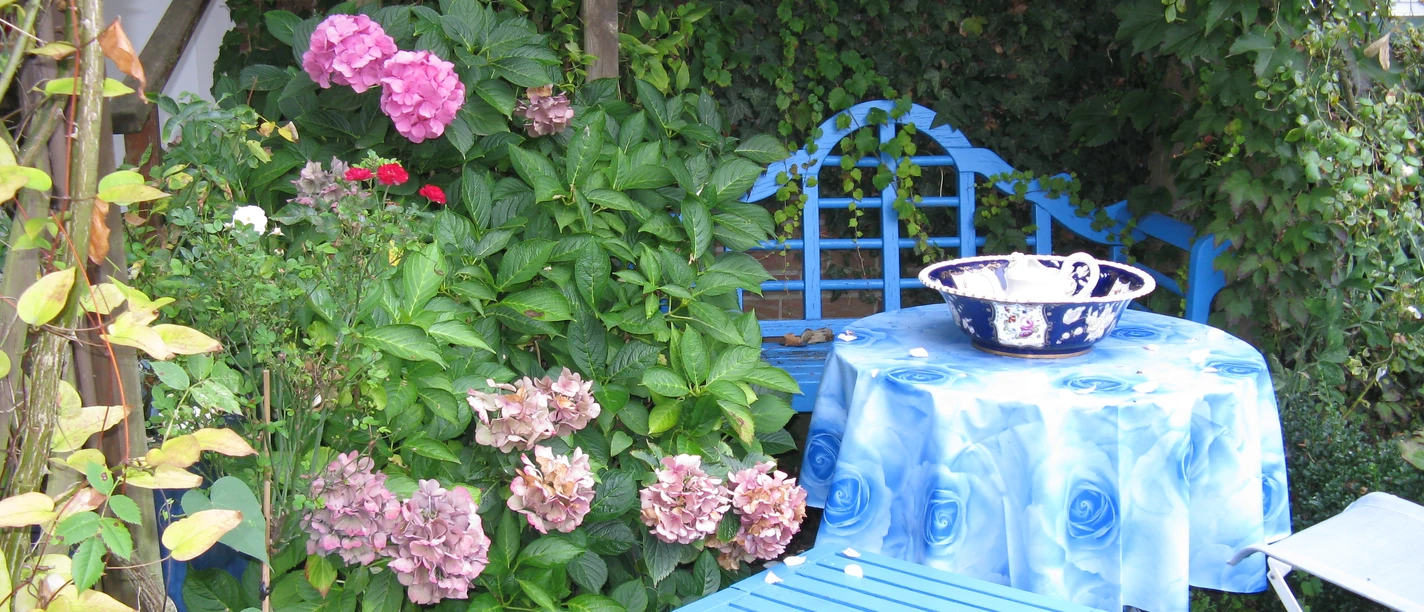 Im Rosengarten am Hasesee in Bramsche