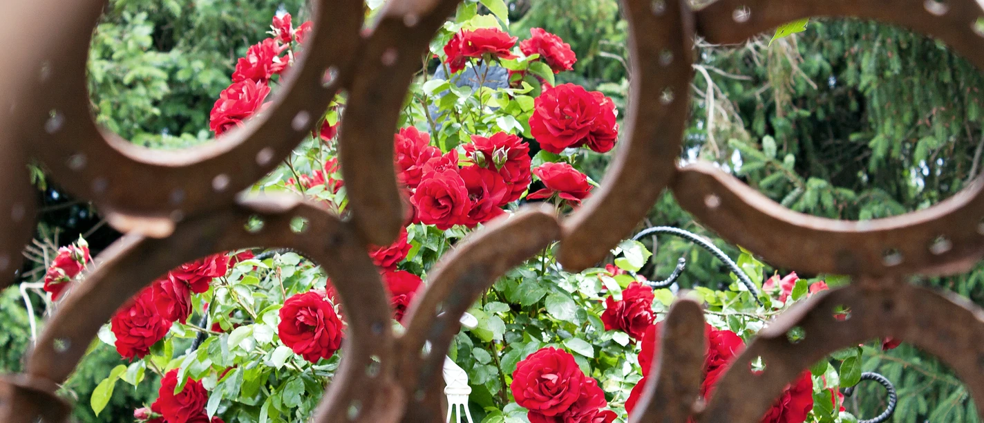Kunst und Blumen im Küberpflanzengarten von Frau Hagemann