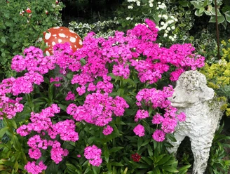 Tuin van het Meyerhof Tuin van boerderij Meyerhof in het Osnabrücker Land