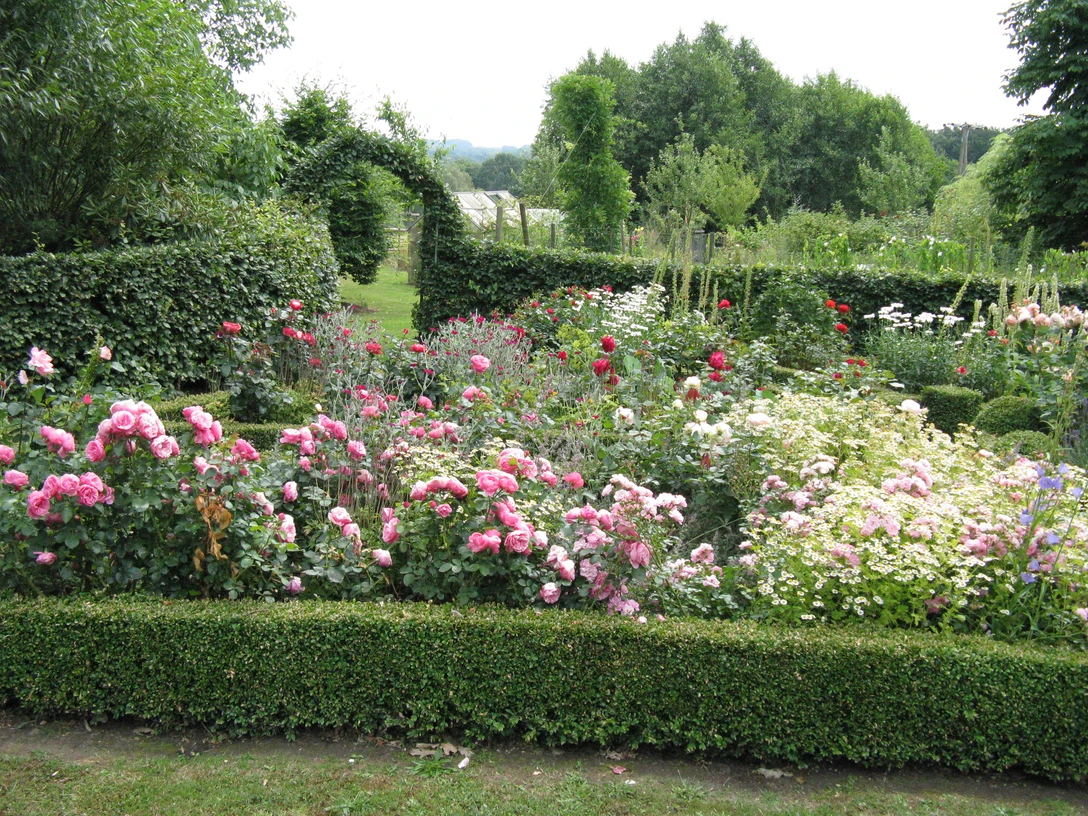 Blick in Sia's Garten am Rand von Ostercappeln