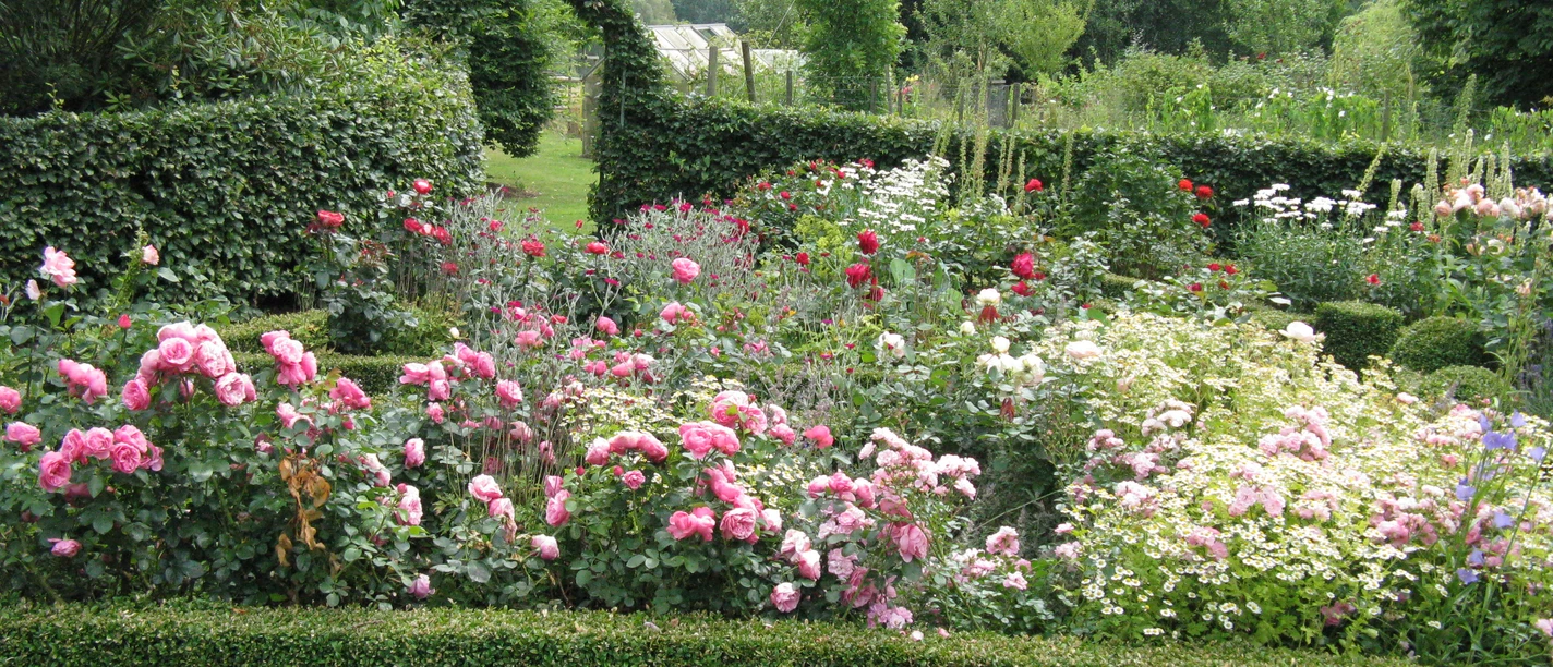 Blick in Sia's Garten am Rand von Ostercappeln
