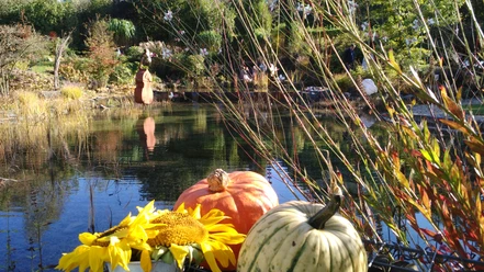 Herbst im Gartenwerk Dukat