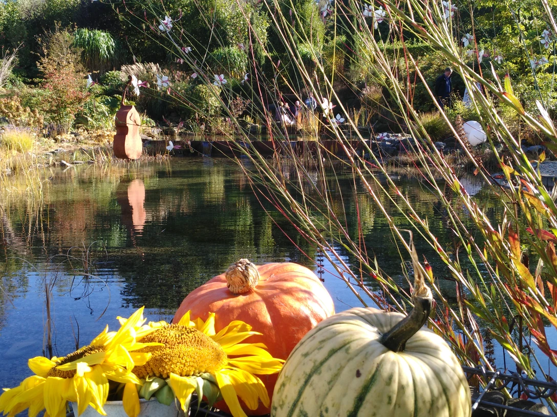 Herbst im Gartenwerk Dukat