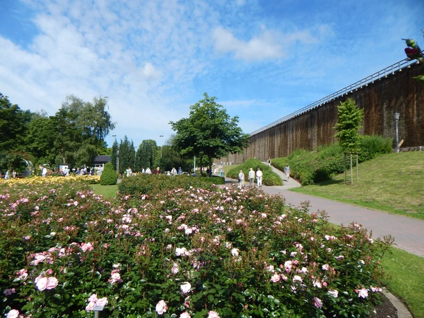 Flower bed with roses, walking path and graduation tower in the Bad Rothenfelde spa gardens under a blue sky.