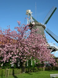 peldemühle