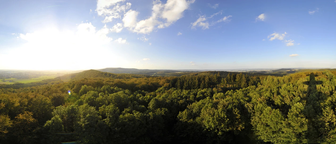 Aussichtsturm Steinegge Een uitzicht over het Teutoburger Wald vanaf de uitkijktoren Steinegge
