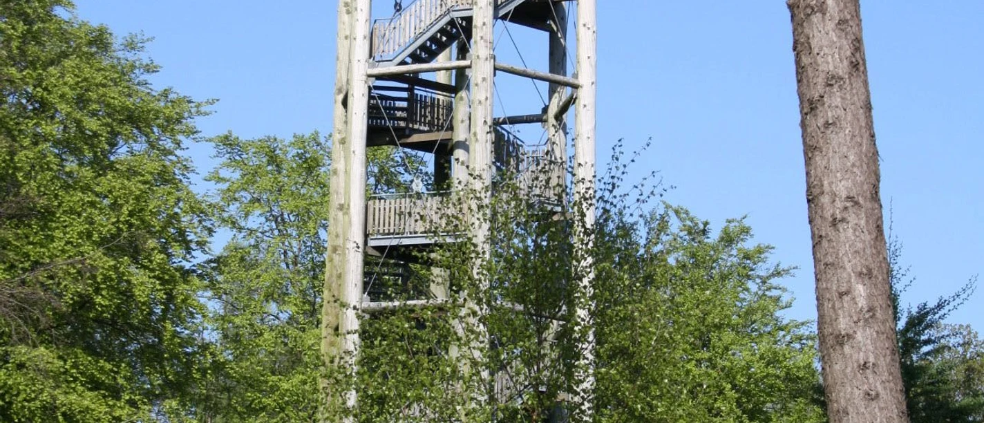 Aussichtsturm Ottoshöhe in den Meller Bergen Aussichtsturm aus Holz in einem Waldgebiet mit blauem Himmel im Hintergrund.