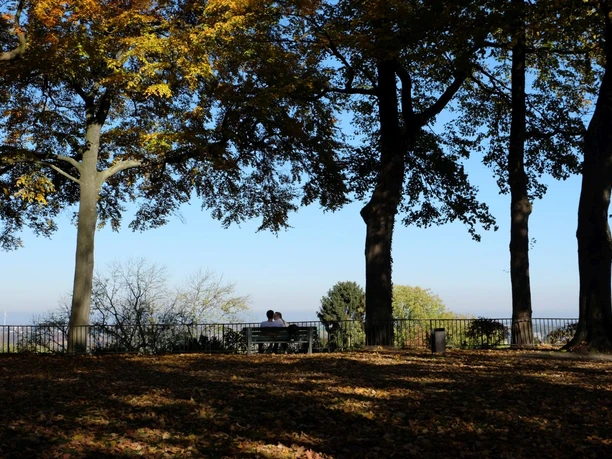 Ein Paar sitzt auf einer Bank vor einem Geländer unter herbstlich gefärbten Bäumen mit Blick auf den Lousberg.