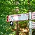 Wegweiser im Wald mit Angaben zu Saurierfährten und Entfernungen zu Sehenswürdigkeiten.
