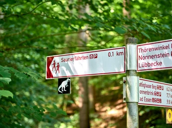 Wegweiser im Wald mit Angaben zu Saurierfährten und Entfernungen zu Sehenswürdigkeiten.Signposts in the forest with information on dinosaur tracks and distances to places of interest.Skilte i skoven med oplysninger om dinosaurspor og afstande til interessante steder.Wegwijzers in het bos met informatie over dinosaurussporen en afstanden naar bezienswaardigheden.