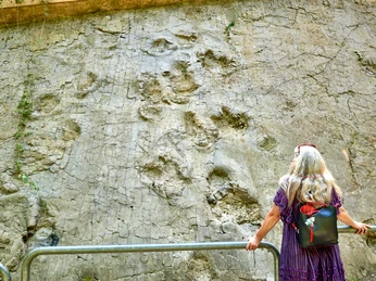 Einmaliges Naturdenkmal: Saurierspuren Seniorin betrachtet historische Dinosaurier-Fußabdrücke an einer Felswand.Senior citizen looks at historical dinosaur footprints on a rock face.En ældre borger ser på historiske dinosaurfodspor på en klippevæg.Een oudere burger bekijkt historische voetafdrukken van dinosaurussen op een rotswand.