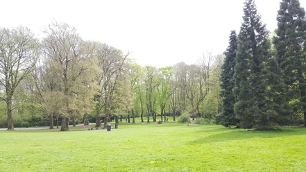 Westpark Flache Rasenfläche mit mehreren Bäumen und einem Spazierweg.