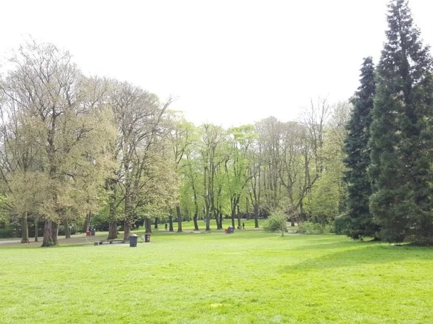 Westpark Flache Rasenfläche mit mehreren Bäumen und einem Spazierweg.