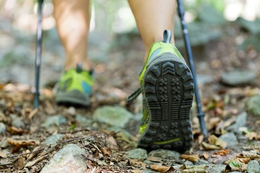 Füße in Wanderschuhen und zwei Wanderstöcke spazieren über einen Waldboden.