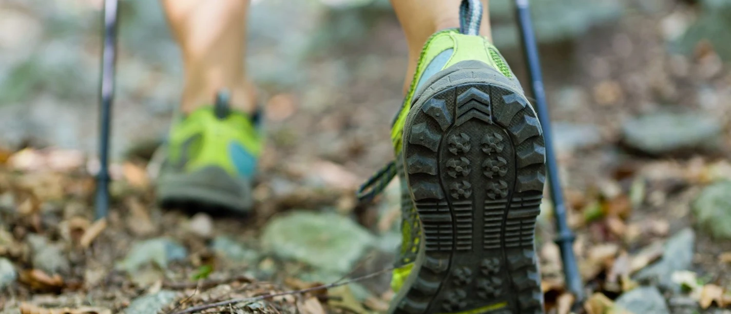 GrenzRouten Füße in Wanderschuhen und zwei Wanderstöcke spazieren über einen Waldboden.